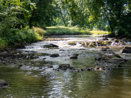P7149985