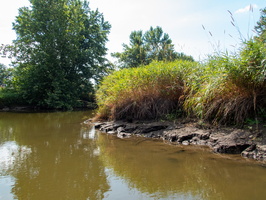 P7149991
