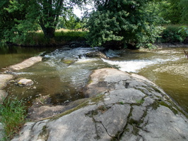 P7149993