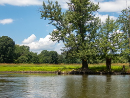 P7140009