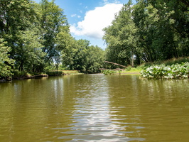 P7140011