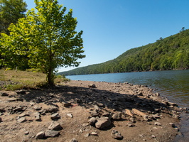 P8180309