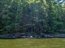 P8180341