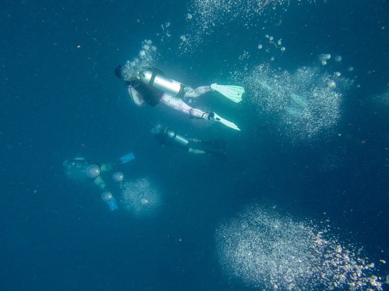 16 Divers IMG_3628.jpg