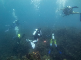 66 Divers IMG 3705