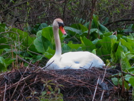 4-27-23 Beaver Dam Lake