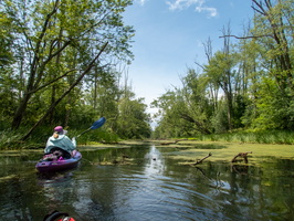 6-15-23 Great Swamp North