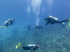 12 Divers IMG 4286
