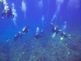 13 Divers IMG 4287