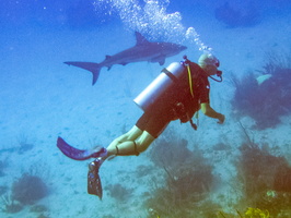 13 Mike wiith Caribbean Reef Shark IMG 3670