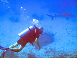 14 Mike wiith Caribbean Reef Shark IMG 3672