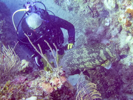30 Steve with Goliath Grouper IMG 3703