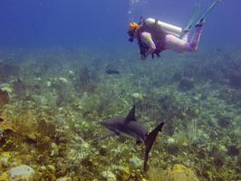 71 Lee Ann with Caribbean Reef Shark IMG 4376