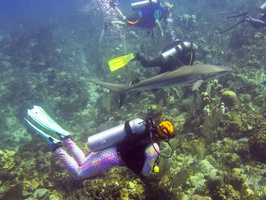 72 Lee Ann, Jim and Jeff with Caribbean Reef Shark IMG 4380