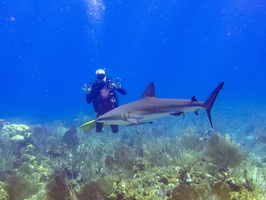 78 Steve with Caribbean Reef Shark IMG 4392