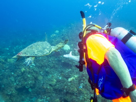 15 Jeff with Hawksbill Sea Turtle IMG 3882