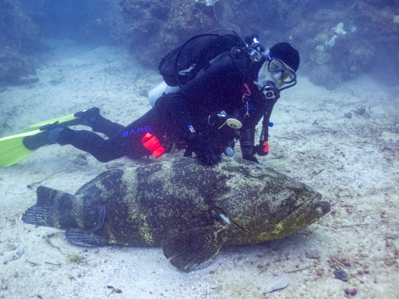 85 George with Goliath Grouper IMG_4708.jpg