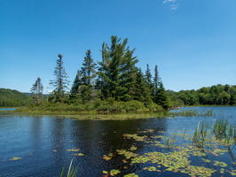 P7202217