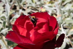 23 IMG 3247