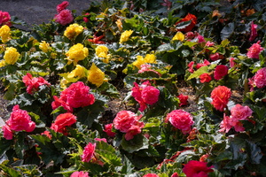25 IMG 3249