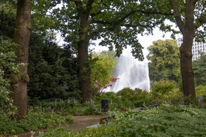 35 IMG 3261