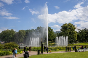 37 IMG 3264