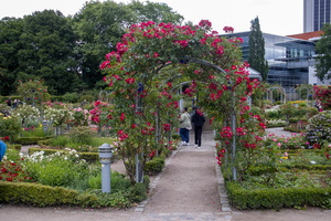 43 IMG 3272