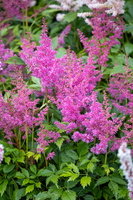 45 IMG 3276