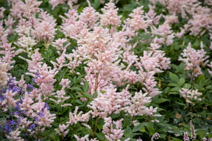 46 IMG 3277