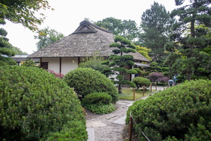 47 IMG 3278