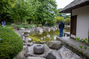 48 IMG 3279