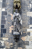 77 IMG 3310
