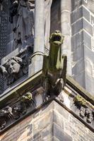 80 IMG 3313