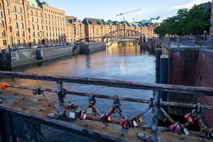 114 IMG 3351