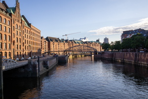 115 IMG 3352