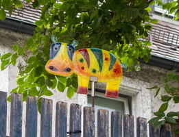 34 IMG 3416