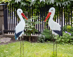 36 IMG 3418