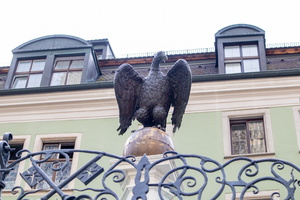 60 IMG 3447