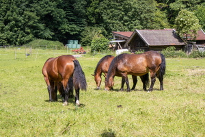 7 8 IMG 3892