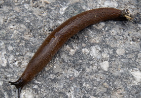 8 9 IMG 3893