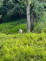 17 18 IMG 2734