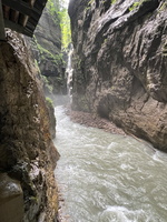 48 49 IMG 2759