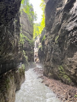 49 50 IMG 2760