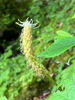 71 72 IMG 2791