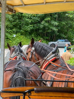 76 76 IMG 2800