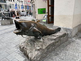 6 IMG 3268