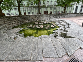 11 IMG 3274