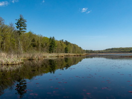 17 P5022099