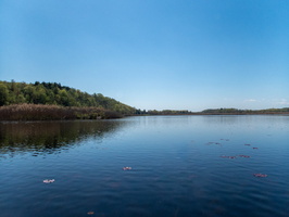 21 P5022103