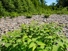 P6012184